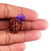 Load image into Gallery viewer, 4 Mukhi Rudraksha from Nepal - Bead No. 49