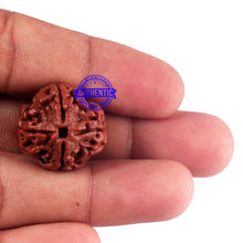 Load image into Gallery viewer, 4 Mukhi Rudraksha from Nepal - Bead No. 52