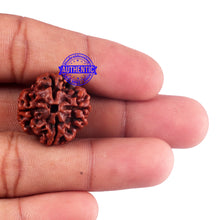 Load image into Gallery viewer, 4 Mukhi Rudraksha from Nepal - Bead No. 54