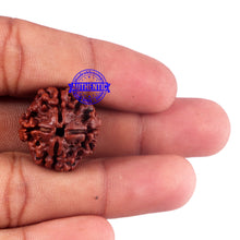 Load image into Gallery viewer, 4 Mukhi Rudraksha from Nepal - Bead No. 59