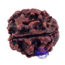 Load image into Gallery viewer, 4 Mukhi Rudraksha with Om Marking - Bead 1