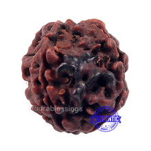 Load image into Gallery viewer, 4 Mukhi Rudraksha with Om Marking - Bead 1