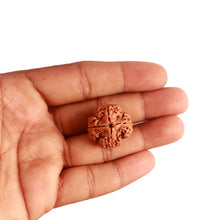 Load image into Gallery viewer, 4 Mukhi Rudraksha from Nepal - Bead No. 275