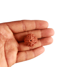 Load image into Gallery viewer, 4 Mukhi Rudraksha from Nepal - Bead No. 276