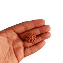 Load image into Gallery viewer, 4 Mukhi Rudraksha from Nepal - Bead No. 279