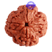 Load image into Gallery viewer, 4 Mukhi Rudraksha from Nepal - Bead No. 285