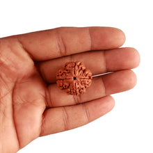 Load image into Gallery viewer, 4 Mukhi Rudraksha from Nepal - Bead No. 290
