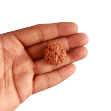 Load image into Gallery viewer, 4 Mukhi Rudraksha from Nepal - Bead No. 291