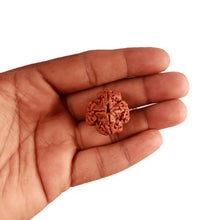 Load image into Gallery viewer, 4 Mukhi Rudraksha from Nepal - Bead No. 294