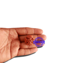 Load image into Gallery viewer, 4 Mukhi Rudraksha from Nepal - Bead No. 312