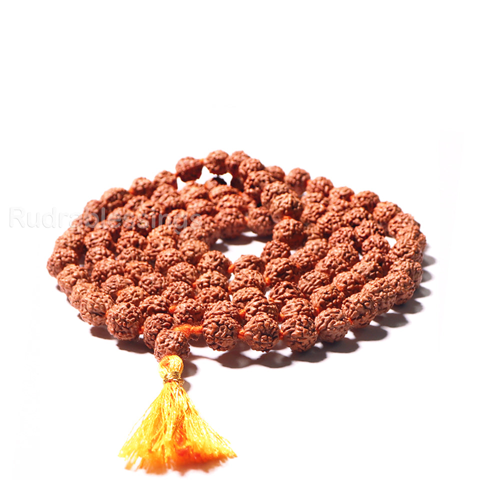 Zap Impex Rudraksha Mala 5 Mm - Collana 108+1 Perle, Certificata, Originale, Per Meditazione E Preghiera, Marrone - 3