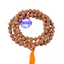 Load image into Gallery viewer, 5 mukhi Rudraksha Japa mala - 7 mm