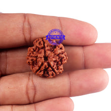 Load image into Gallery viewer, 5 Mukhi Rudraksha from Nepal - Bead No. 176