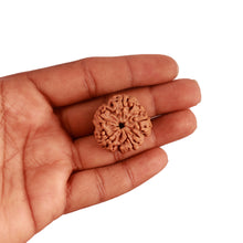 Load image into Gallery viewer, 5 Mukhi Rudraksha from Nepal - Bead No. 284