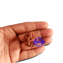 Load image into Gallery viewer, 5 Mukhi Rudraksha from Nepal - Bead No. 294