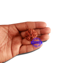 Load image into Gallery viewer, 5 Mukhi Rudraksha from Nepal - Bead No. 306