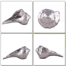 Load image into Gallery viewer, Parad / Mercury Shankh (Conch) - 65