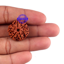 Load image into Gallery viewer, 6 Mukhi Rudraksha from Nepal - Bead No. 52