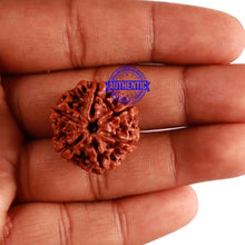 Load image into Gallery viewer, 6 Mukhi Rudraksha from Nepal - Bead No. 263
