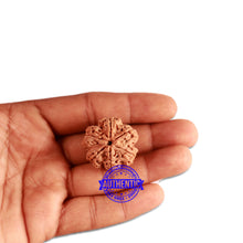 Load image into Gallery viewer, 6 Mukhi Rudraksha from Nepal - Bead No. 335