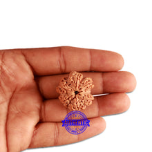 Load image into Gallery viewer, 6 Mukhi Ganesha Rudraksha from Nepal - Bead No. 359