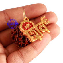 Load image into Gallery viewer, 6 Mukhi Hybrid Rudraksha - Bead No. 49 (with Shiv accessory)