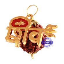 Load image into Gallery viewer, 6 Mukhi Hybrid Rudraksha - Bead No. 49 (with Shiv accessory)