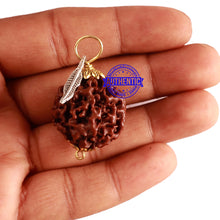 Load image into Gallery viewer, 6 Mukhi Hybrid Rudraksha - Bead No. 55 (with Feather accessory)