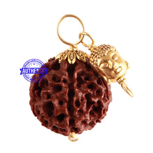 Load image into Gallery viewer, 6 Mukhi Hybrid Rudraksha - Bead No. 62 (with Lord Buddha accessory)