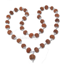 Load image into Gallery viewer, 7 Mukhi Rudraksha Mala - 36+1 beads-Nepalese (Pure Silver)
