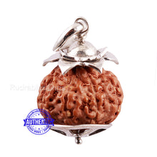 Load image into Gallery viewer, 7 Mukhi Indonesian Rudraksha Pendant in pure silver - 3
