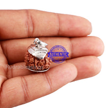 Load image into Gallery viewer, 7 Mukhi Indonesian Rudraksha Pendant in pure silver - 4