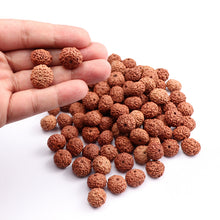 Load image into Gallery viewer, 8 Mukhi Rudraksha from Indonesia - 100 Beads Pack