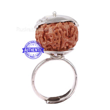Load image into Gallery viewer, 7 Mukhi Indonesian Rudraksha Ring - 16