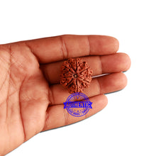 Load image into Gallery viewer, 7 Mukhi Nepalese Rudraksha - Bead No. 355
