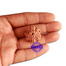Load image into Gallery viewer, 7 Mukhi Nepalese Rudraksha - Bead No. 379