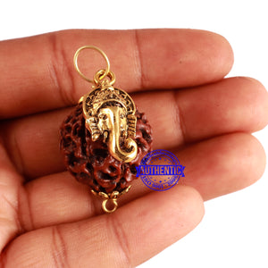 7 Mukhi Hybrid Rudraksha - Bead No. 45 (with Ganesha accessory)
