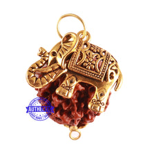 Load image into Gallery viewer, 7 Mukhi Hybrid Rudraksha - Bead No. 48 (with Elephant accessory)
