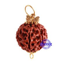 Load image into Gallery viewer, 7 Mukhi Hybrid Rudraksha - Bead No. 51 (with Butterfly accessory)