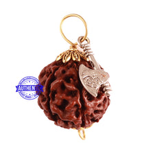 Load image into Gallery viewer, 7 Mukhi Hybrid Rudraksha - Bead No. 52 (with Axe accessory)