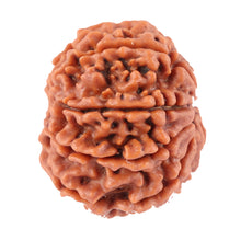 Load image into Gallery viewer, 8 Mukhi Nepalese Rudraksha - Bead No. 45