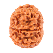 Load image into Gallery viewer, 8 Mukhi Nepalese Rudraksha - Bead No. 46