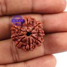 Load image into Gallery viewer, 8 Mukhi Nepalese Rudraksha - Bead No. 57