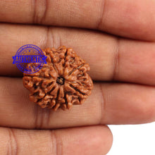 Load image into Gallery viewer, 8 Mukhi Nepalese Rudraksha - Bead No. 96