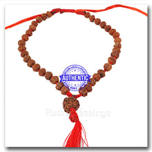 Load image into Gallery viewer, 8 mukhi Rudraksha Mala - (36 + 1 beads - Indonesian)