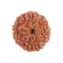 Load image into Gallery viewer, 8 Mukhi Rudraksha from Indonesia - Bead No. 126
