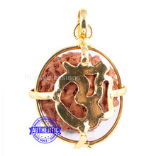 Load image into Gallery viewer, 8 Mukhi Rudraksha from Indonesia - Bead No. 157 (Gold Plated bracket)