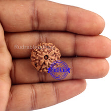 Load image into Gallery viewer, 8 Mukhi Indonesian Rudraksha with Om Marking