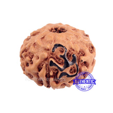 Load image into Gallery viewer, 8 Mukhi Indonesian Rudraksha with Om Marking