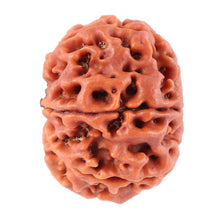 Load image into Gallery viewer, 8 Mukhi Nepalese Rudraksha - Bead No. 65